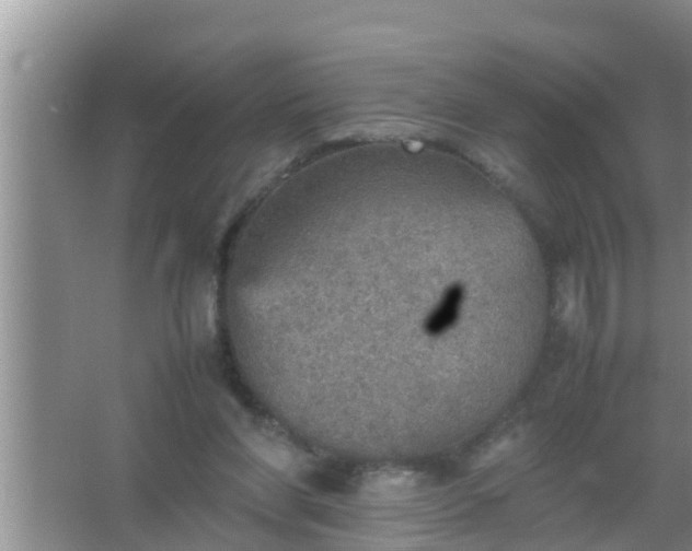 X0000067480206200604150025