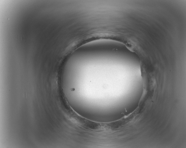 X0000067480207200604150025