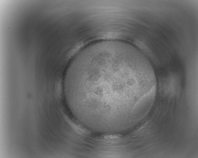 X0000067480208200604150024