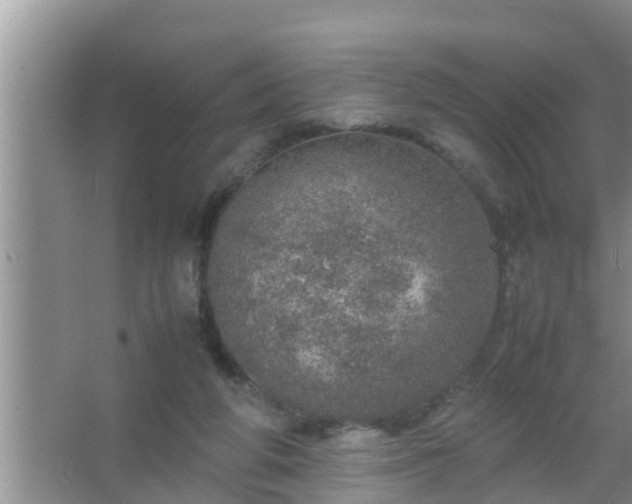 X0000067480210200604150024