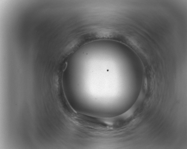 X0000067480211200604150024