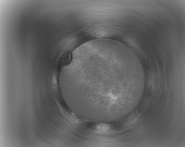 X0000067480214200604150024