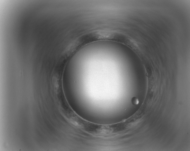 X0000067480215200604150024