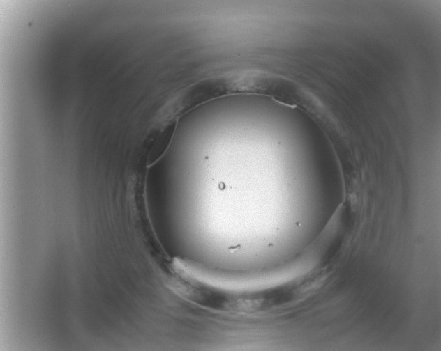 X0000067480217200604150024