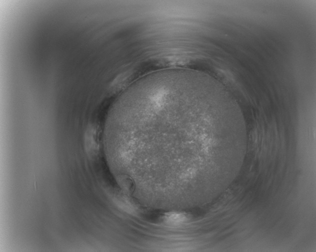 X0000067480218200604150024