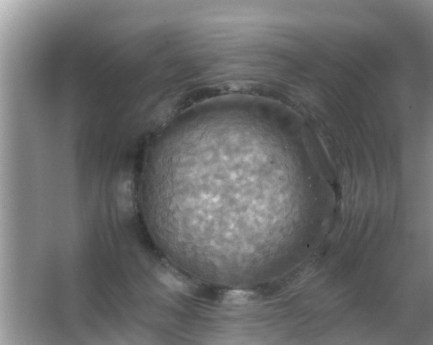 X0000067480222200604150024