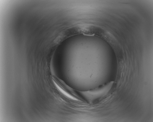 X0000067480223200604150024