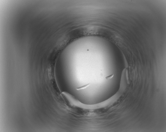 X0000067480224200604150024