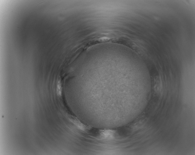 X0000067480226200604150024