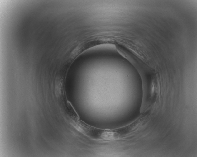 X0000067480227200604150024