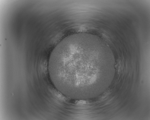 X0000067480230200604150024