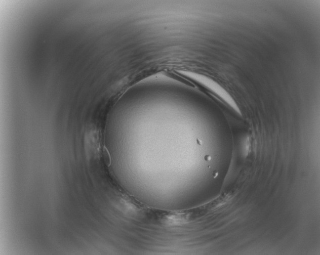 X0000067480232200604150024