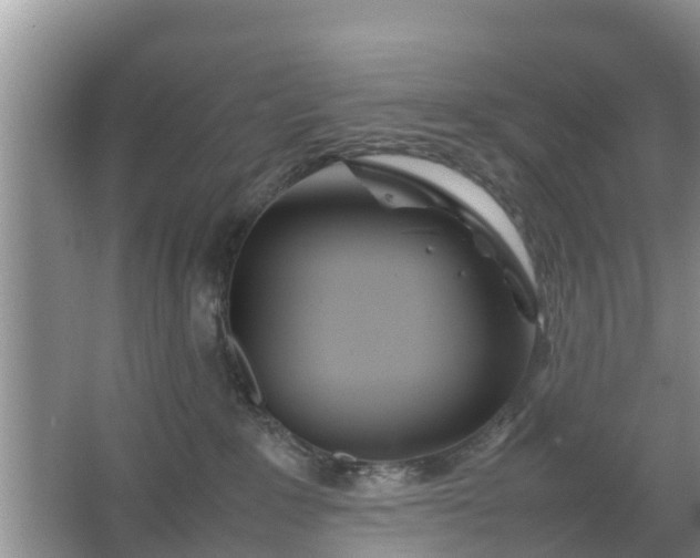 X0000067480235200604150024