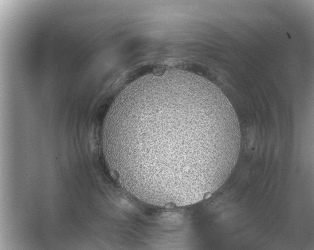 X0000067480236200604150024