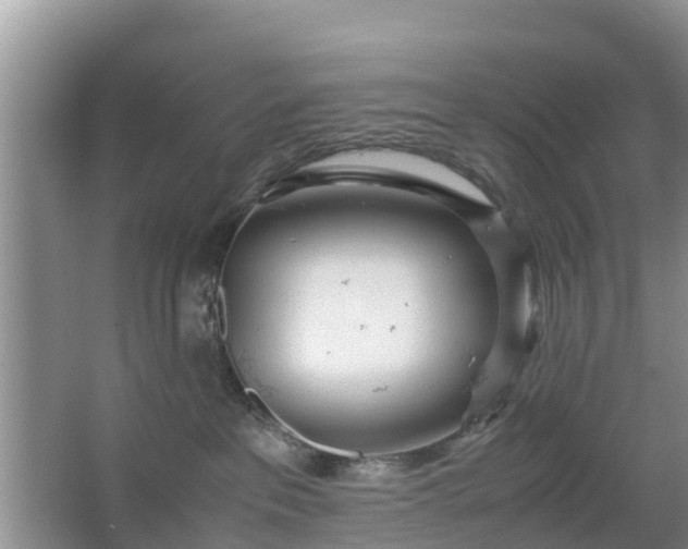 X0000067480237200604150024