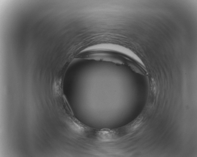 X0000067480239200604150024