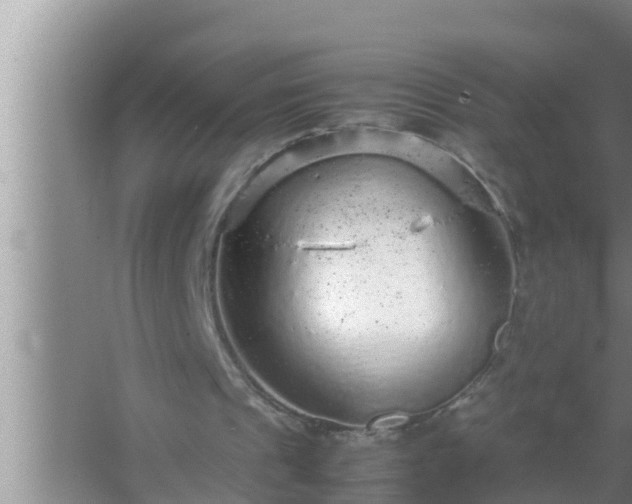 X0000067480241200604150023