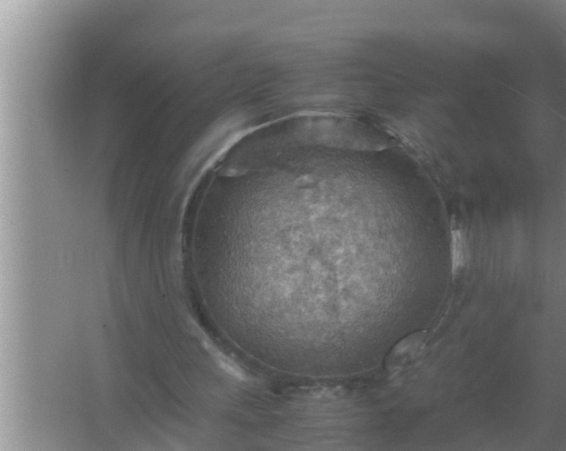 X0000067480243200604150023