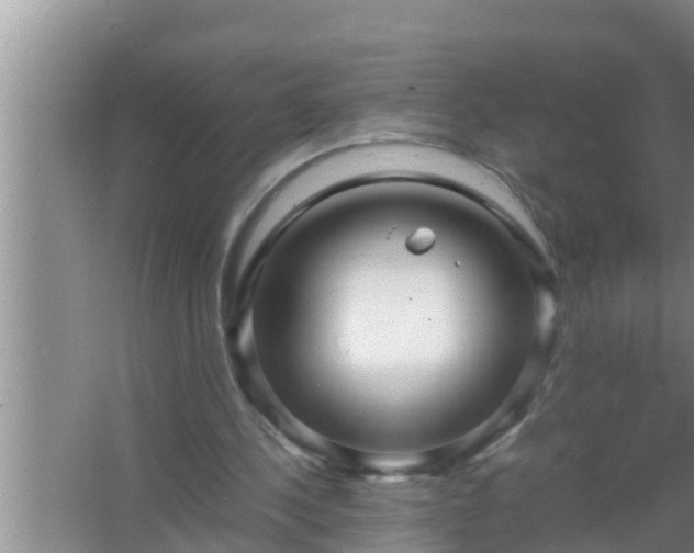 X0000067480244200604150023