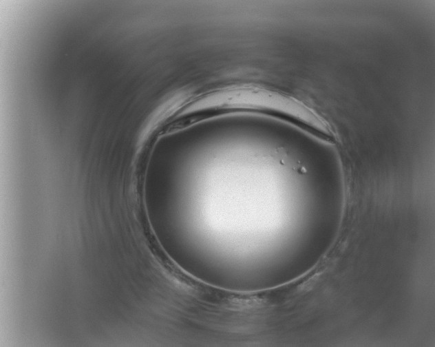 X0000067480245200604150023