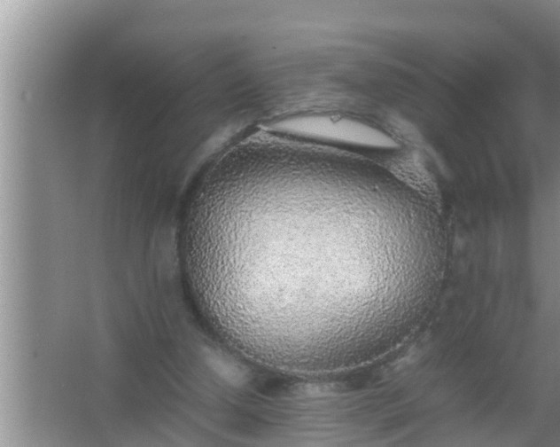 X0000067480250200604150023