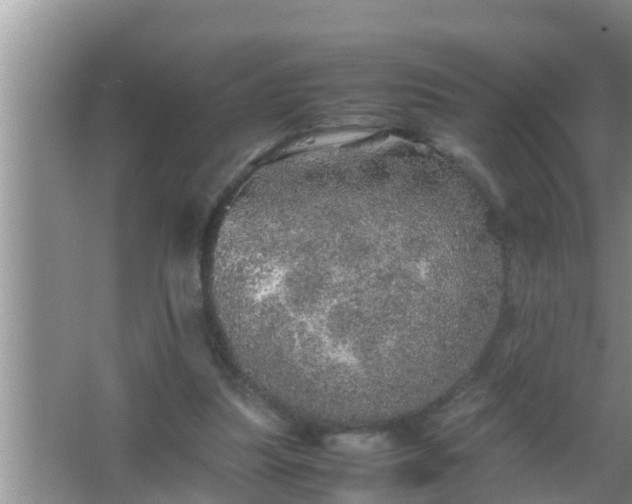 X0000067480251200604150023