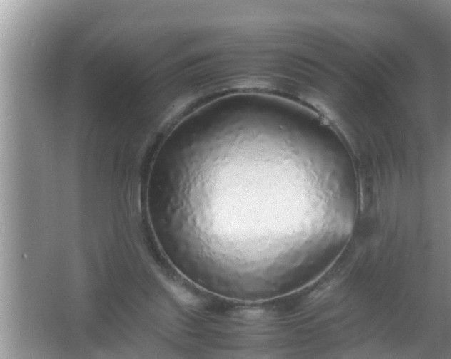 X0000067480253200604150023