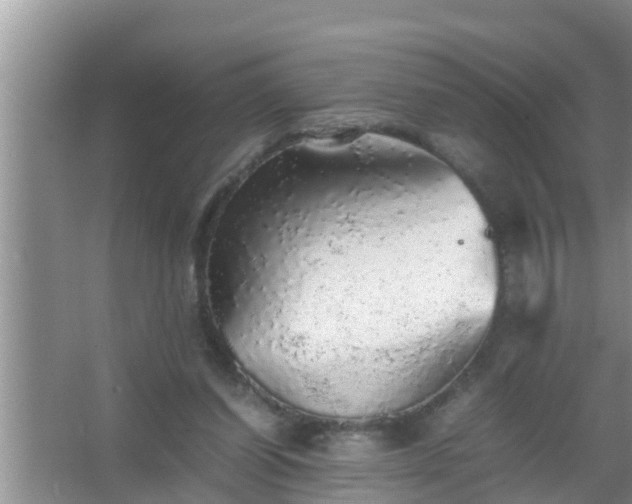 X0000067480254200604150023