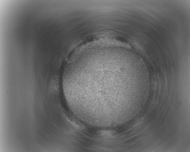 X0000067480255200604150023