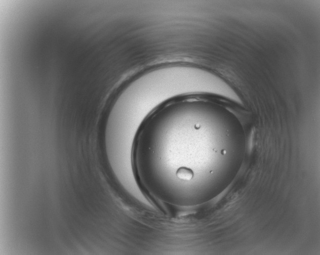 X0000067480256200604150023