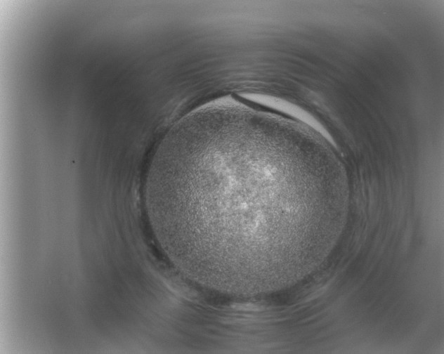 X0000067480259200604150023