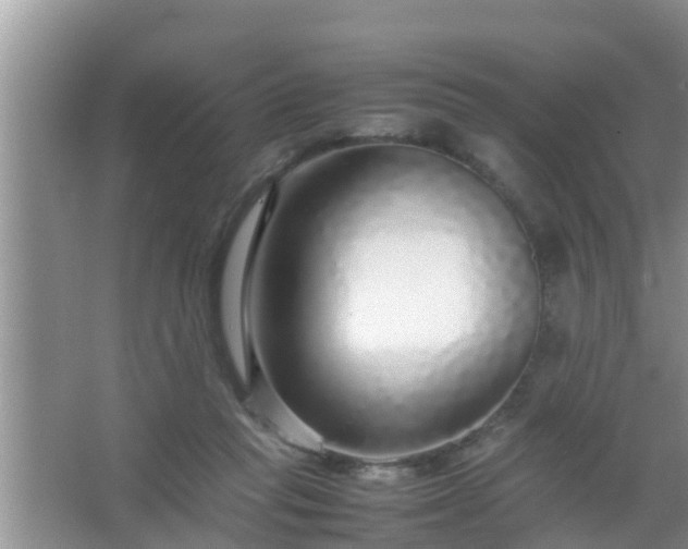 X0000067480261200604150023