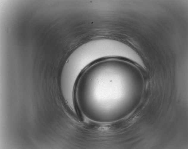 X0000067480265200604150024