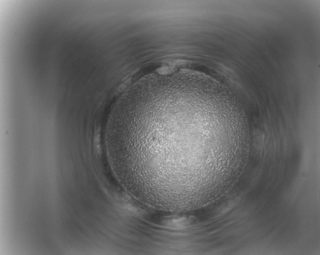 X0000067480267200604150024