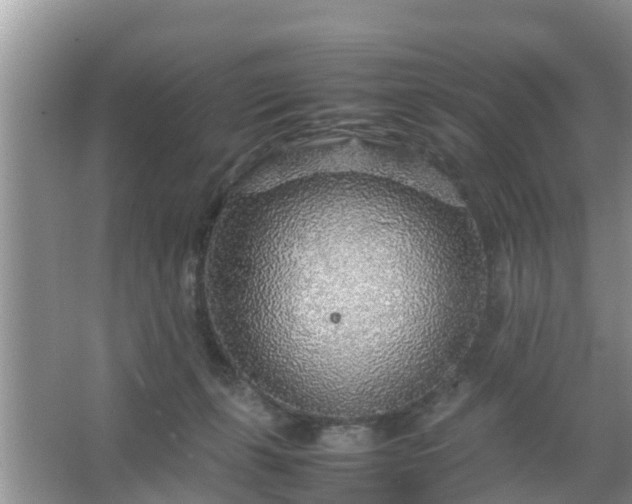 X0000067480271200604150024