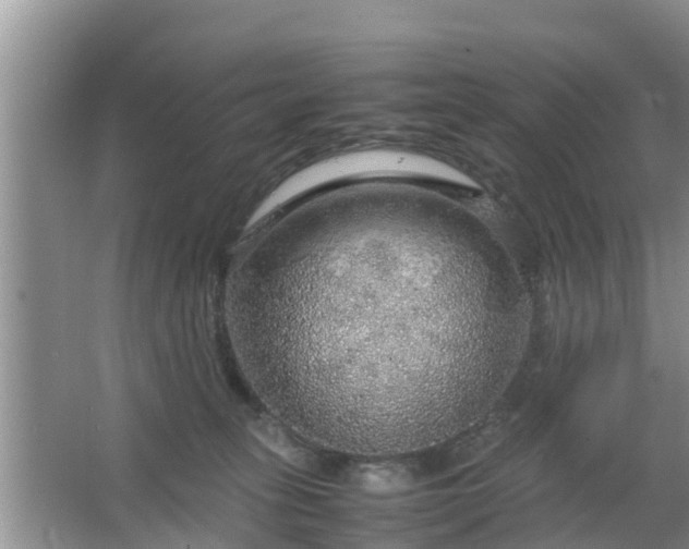 X0000067480275200604150024