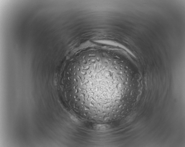 X0000067480277200604150024