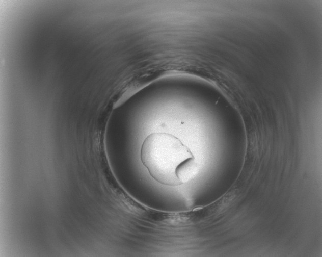 X0000067480278200604150024