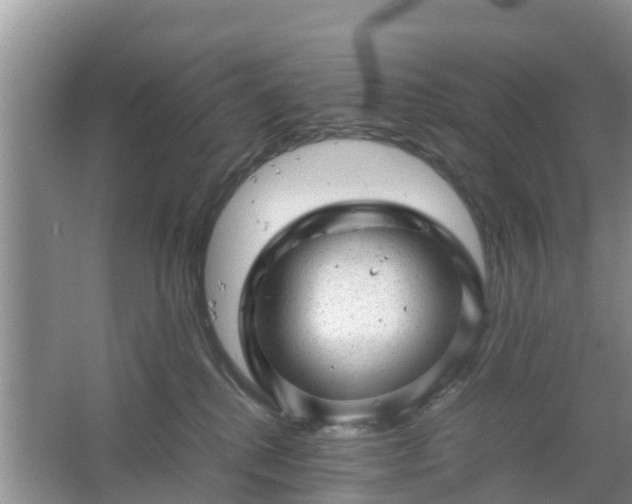 X0000067480280200604150024