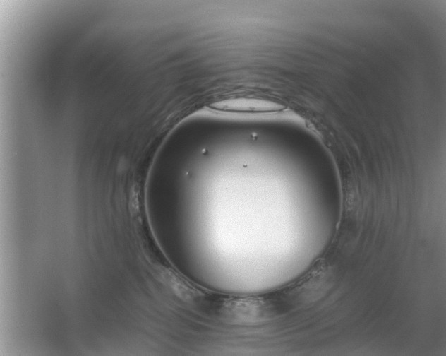 X0000067480282200604150024