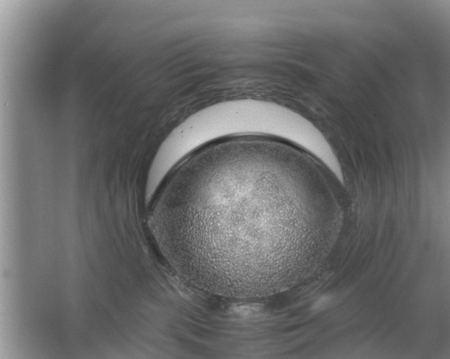 X0000067480283200604150024