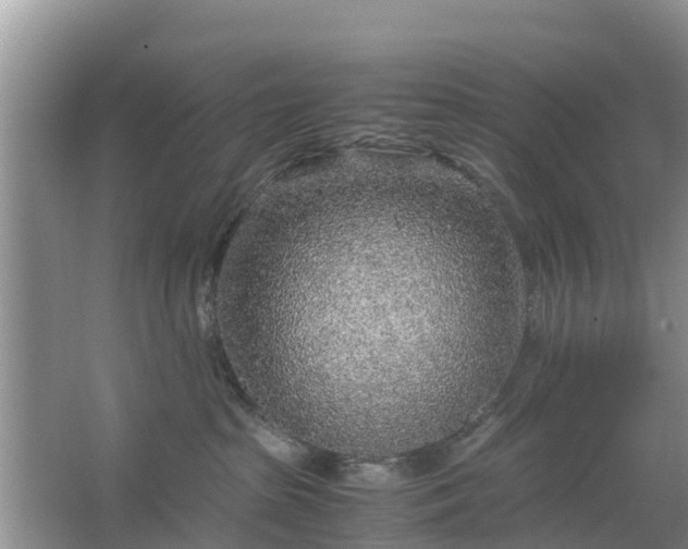 X0000067480285200604150024