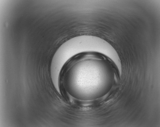 X0000067480287200604150024