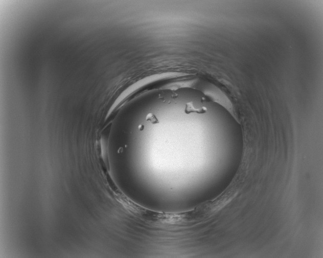 X0000067480288200604150024