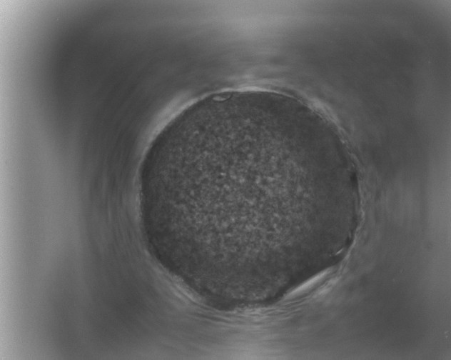 X0000067480295200604150023