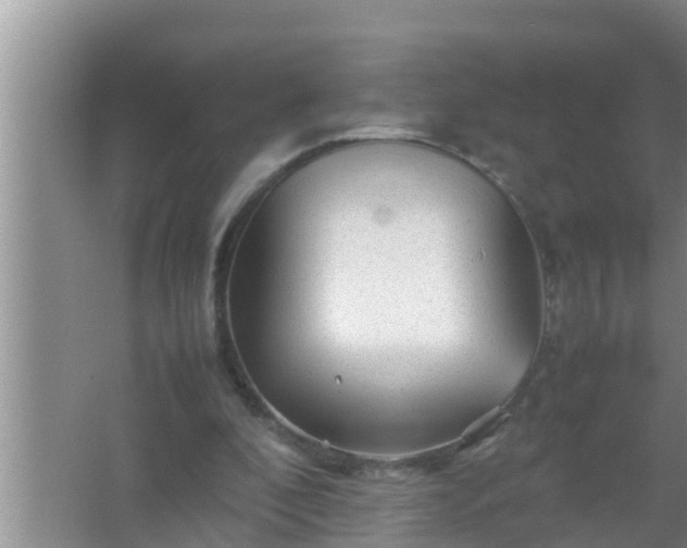 X0000067480296200604150023