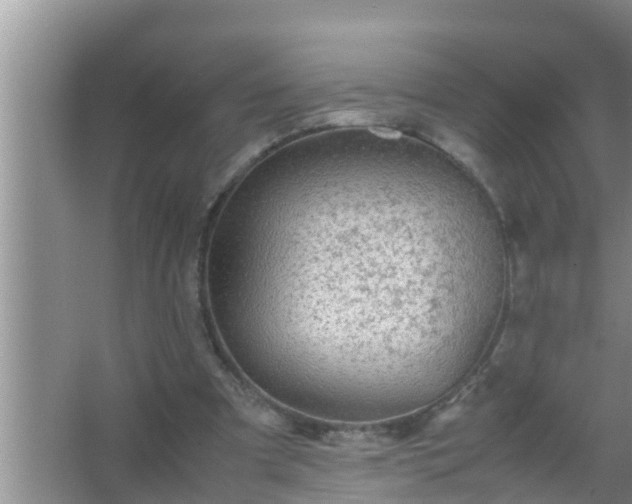 X0000067480297200604150023