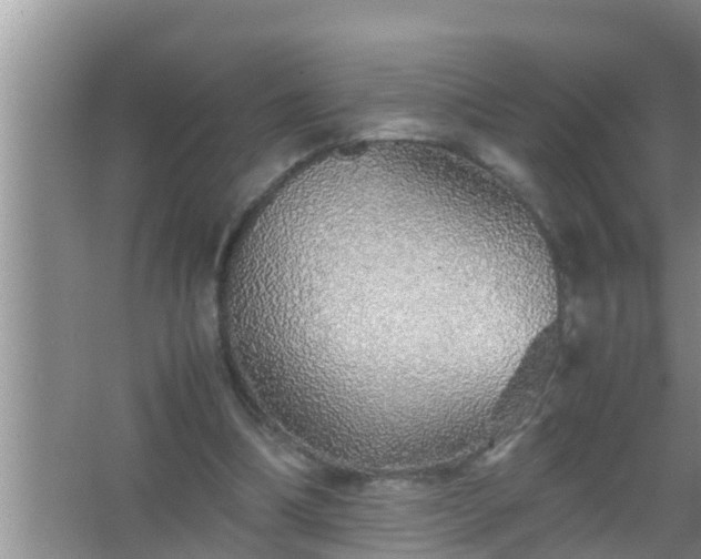 X0000067480298200604150023