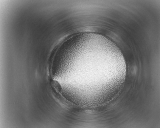 X0000067480302200604150023