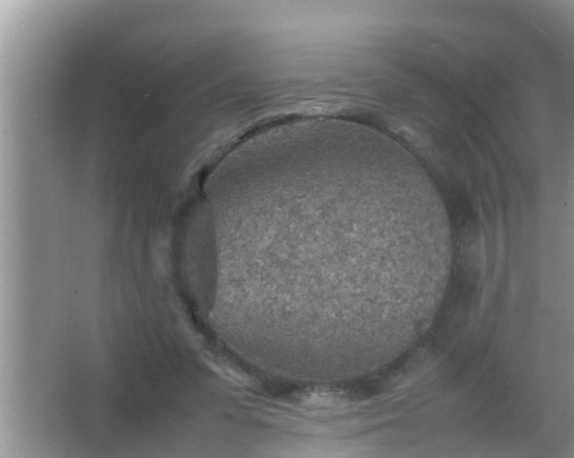 X0000067480303200604150023